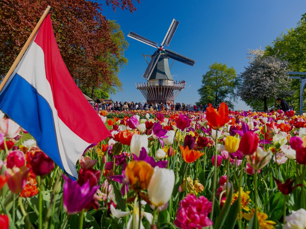 The Netherlands (image from Pixabay.com)