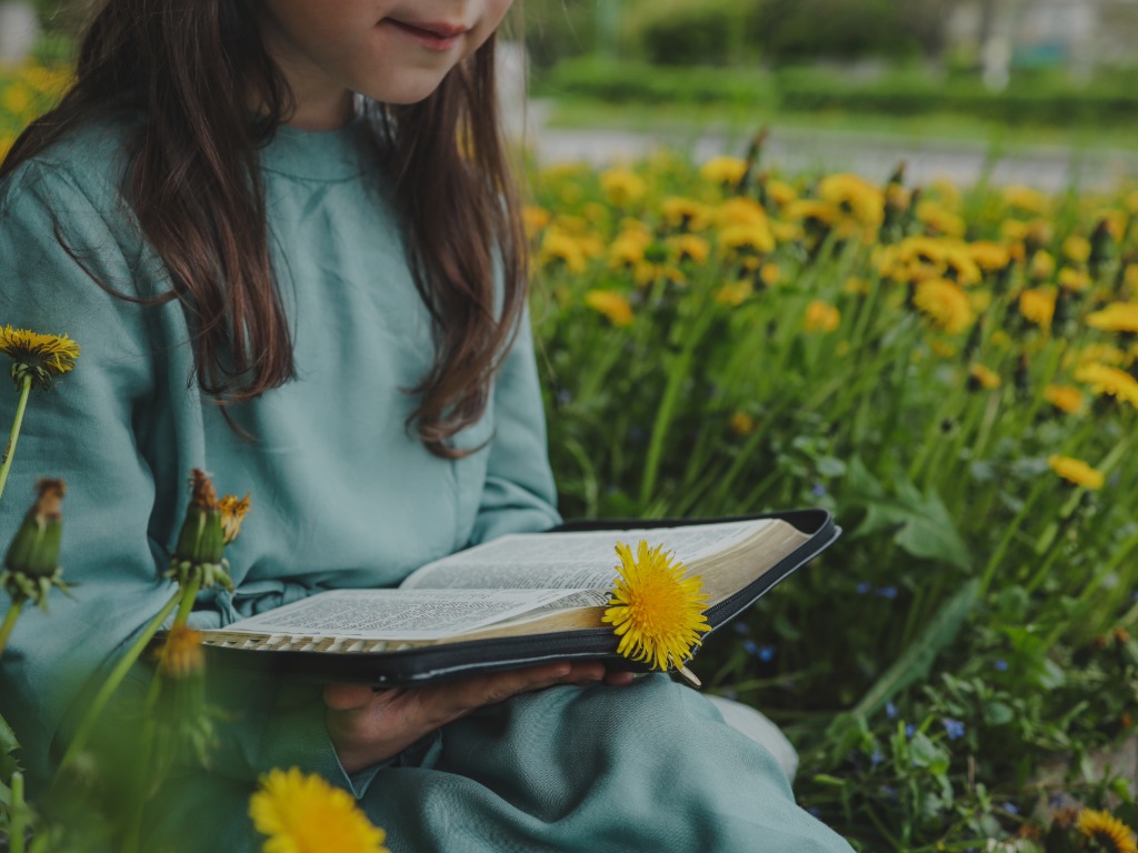 Child reading while sitting on the grass