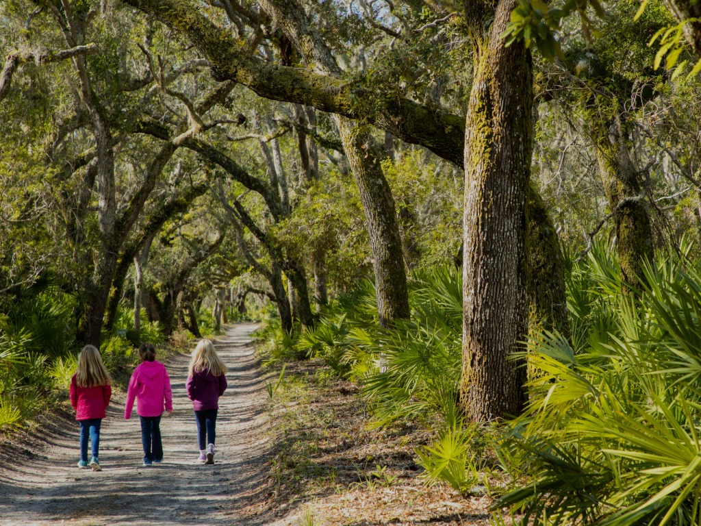 children walking in a forest